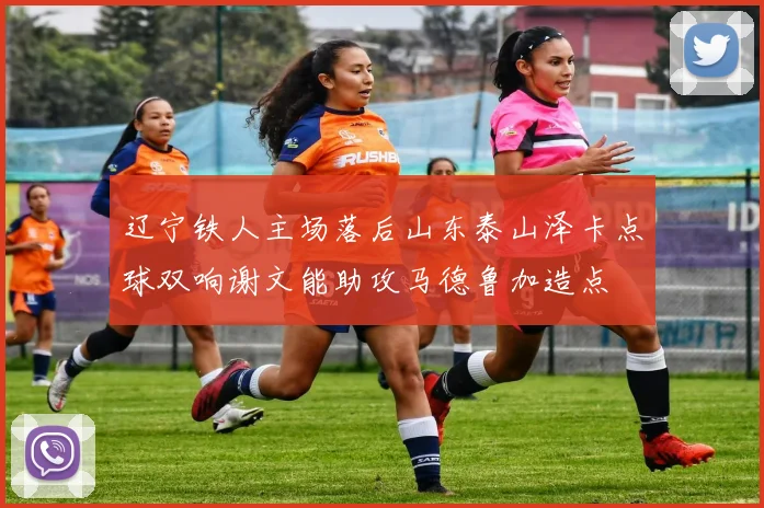 辽宁铁人主场落后山东泰山泽卡点球双响谢文能助攻马德鲁加造点