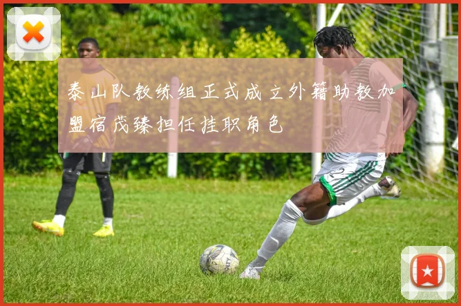 泰山队教练组正式成立外籍助教加盟宿茂臻担任挂职角色