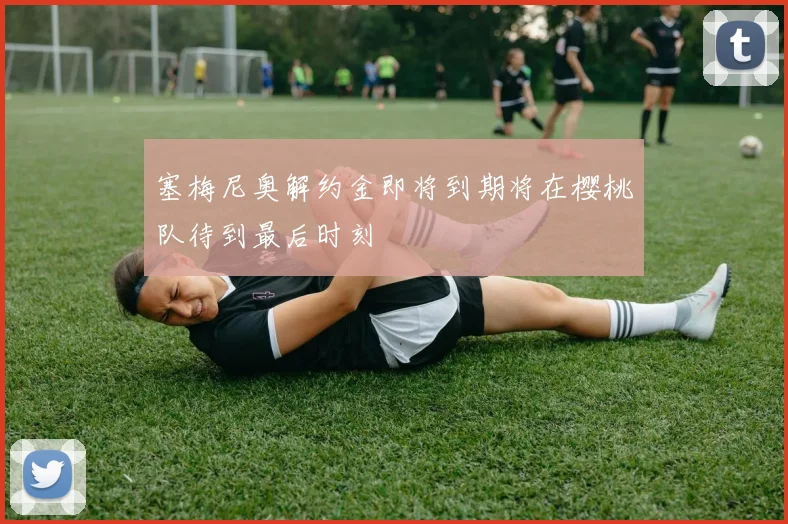 塞梅尼奥解约金即将到期将在樱桃队待到最后时刻